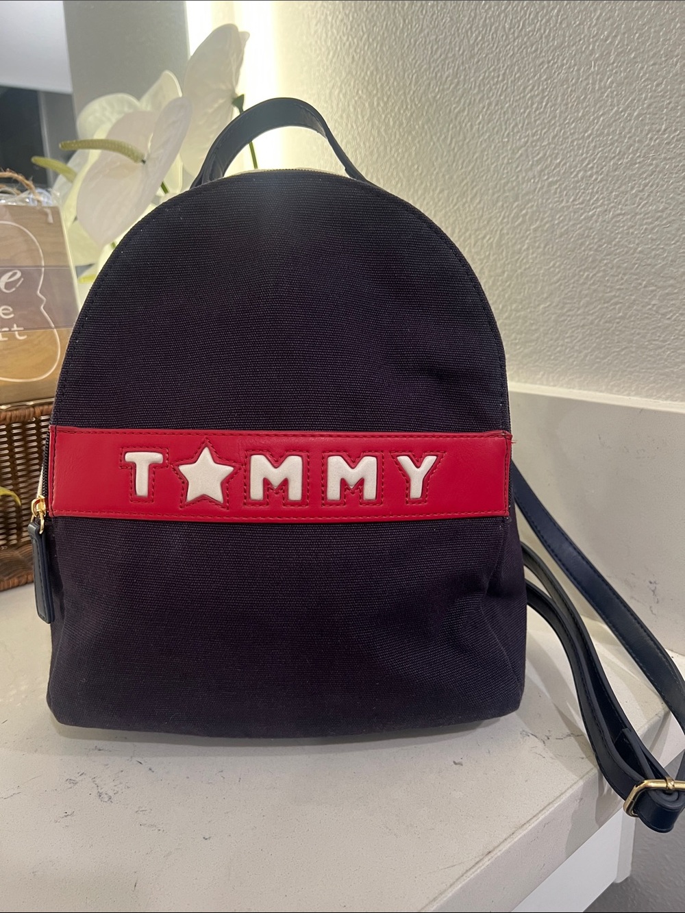 Tommy Hilfiger Navy Canvas Backpack with Red Accent